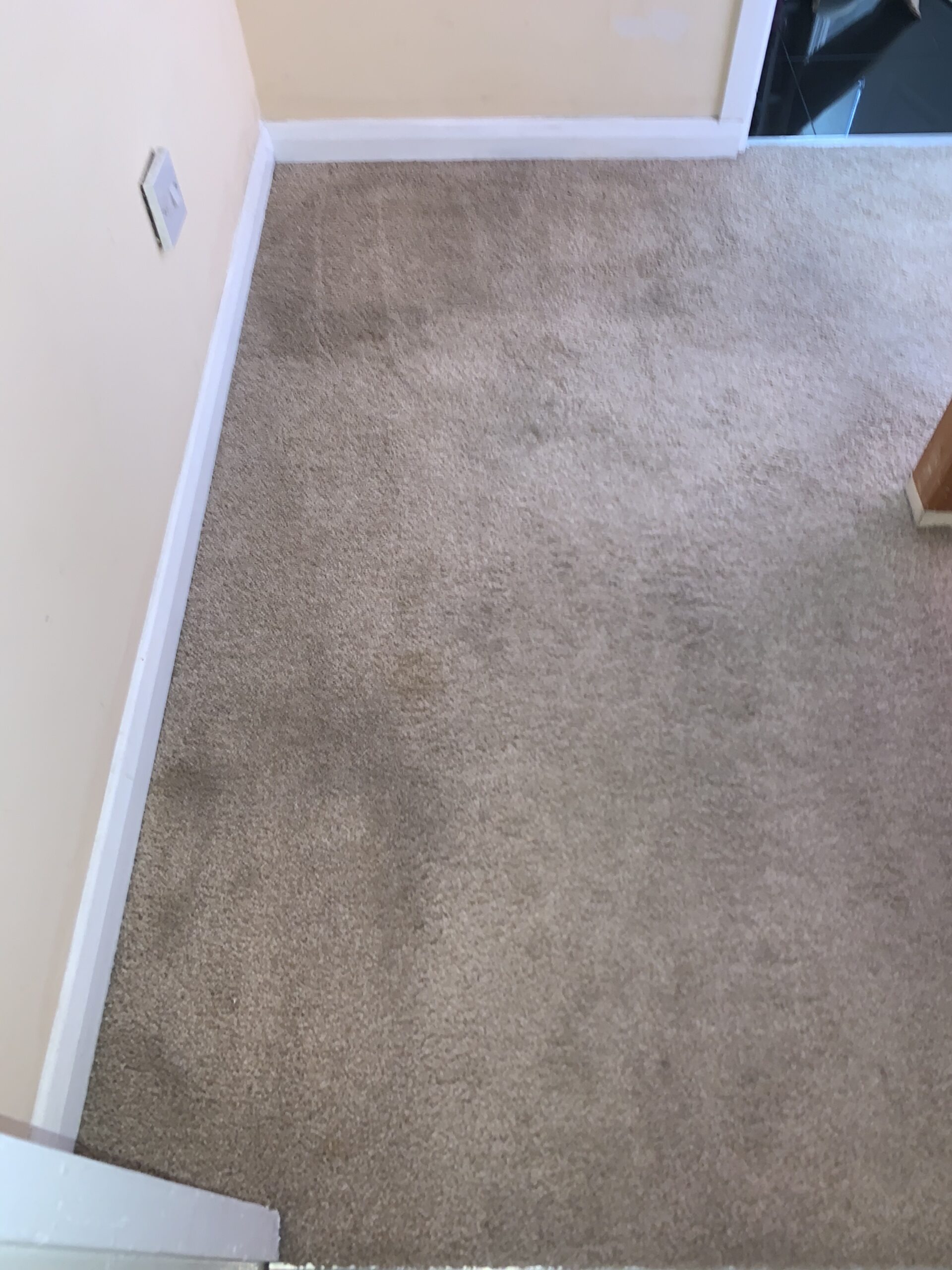 Cleaning carpet without professional carpet cleaning machine