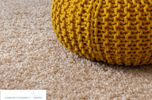 how to clean carpet without professional equipment